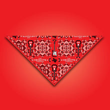 Load image into Gallery viewer, Kessler Presents Bandana Trio